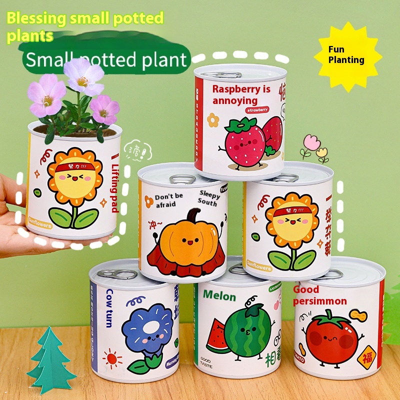 Children'spirational Planting Small Potted Plants For Primary School Students To Plant Blind Box Gifts Creative Handmade DIYPlant Canned Potted Plants