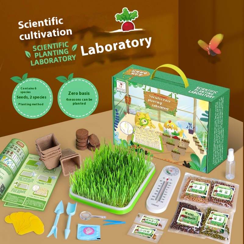 Children's Planting Observation Seed Germination Growth Science Experiment Set Primary School Students Diy Potted Planting Toys