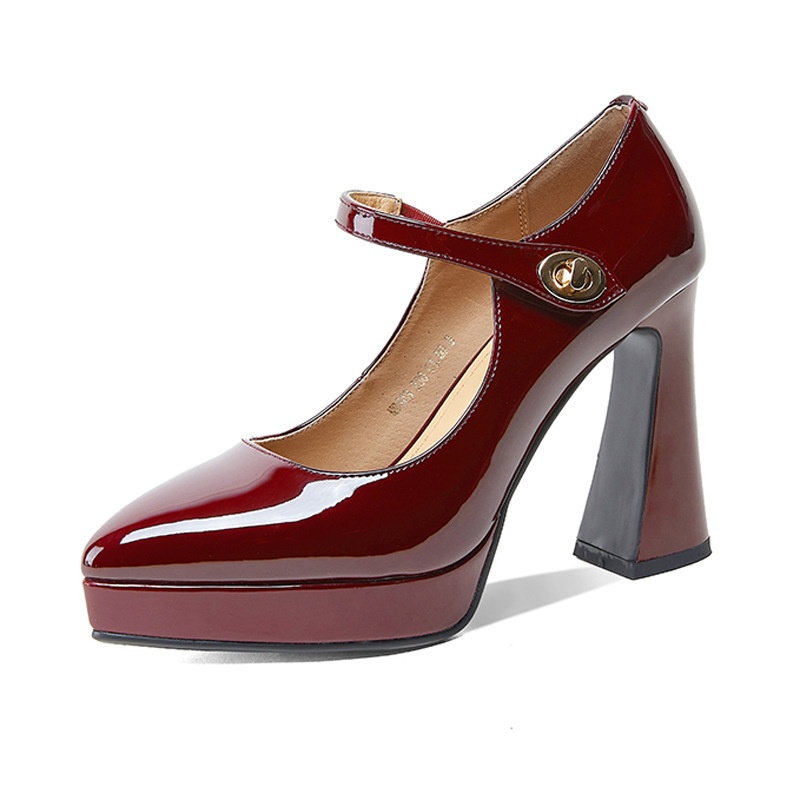 Spring And Autumn Women's Shoes Pointed Toe Thick Heel High Heels Water Platform Metal Fashion Shoes Celebrity Hot Mom Single Shoes Women