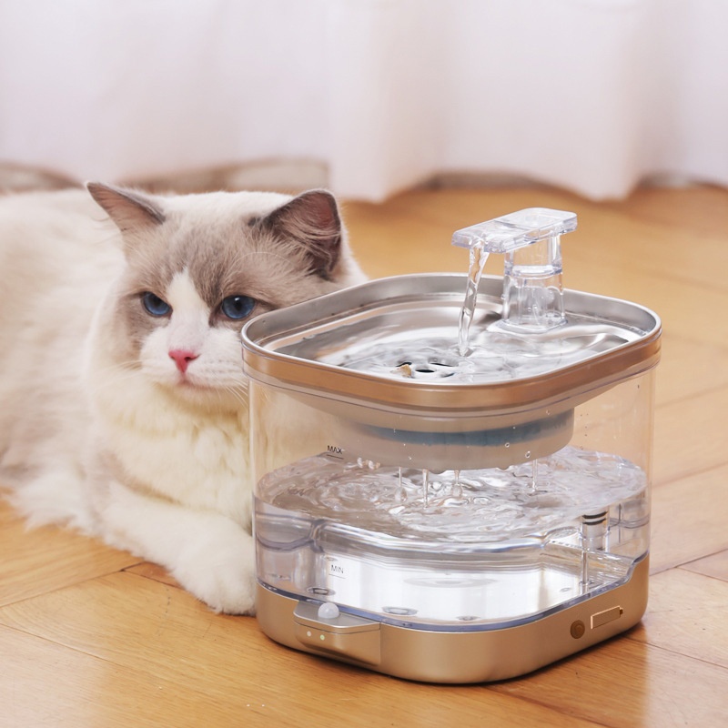 Cat Charging Water Dispenser Automatic Circulating Water Pet Water Dispenser Smart Wireless Cat And Dog Water Feeder