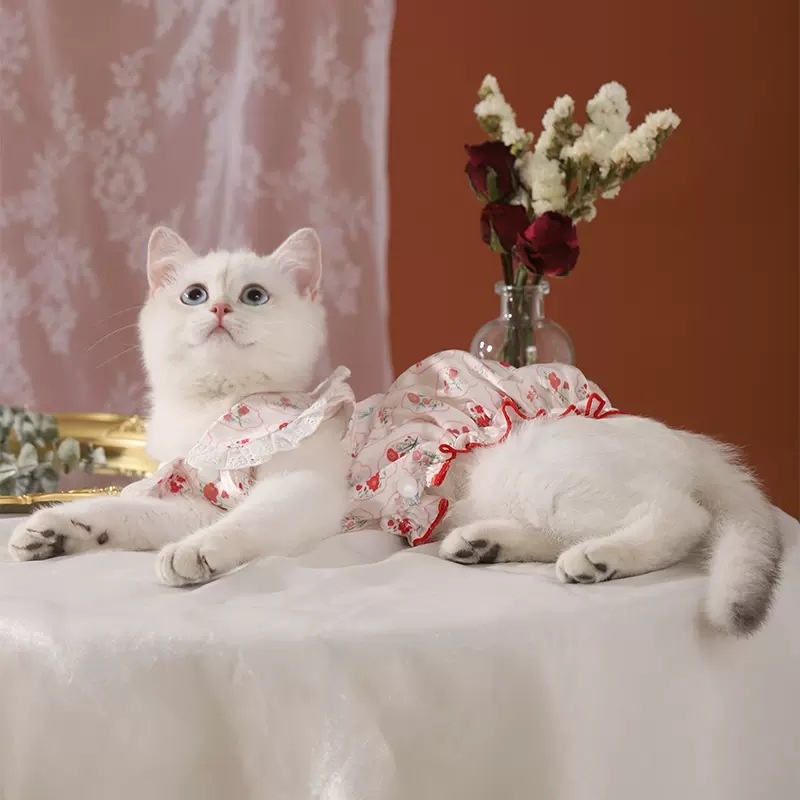 Flowers In Full Bloom Bubble Skirt One-piece Cat Clothes Anti-hair Loss Spring Pet Kitten Spring And Summer Cool Thin Style