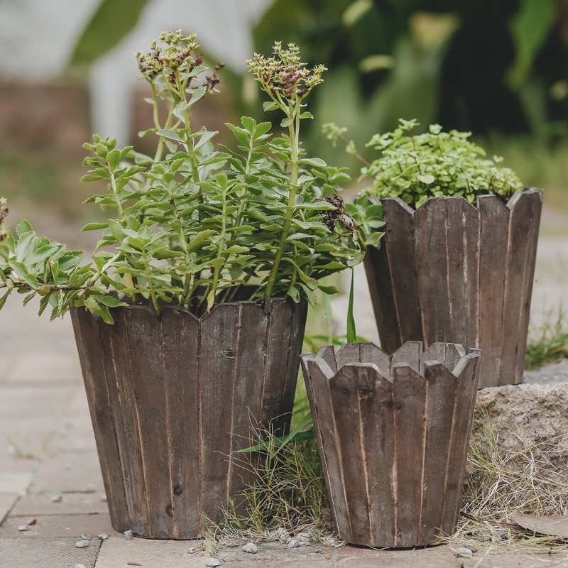Hand-stitched Retro Wooden Fleshy Flower Pot Flower Pot American Country Celebrity Indoor Green Radish Flower Pot