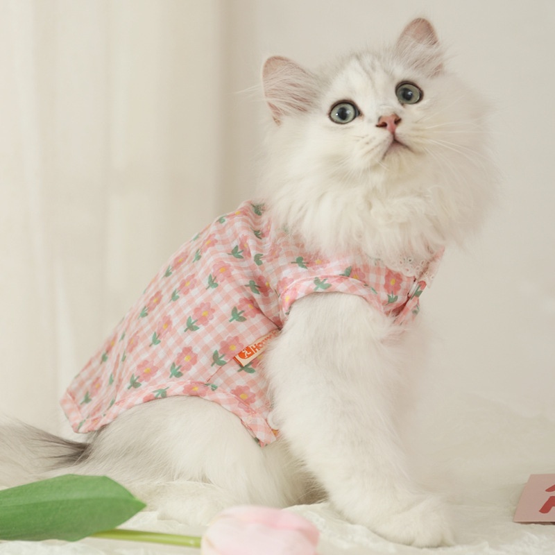 Summer Thin Anti-hair Loss Summer Kitten Blue Cat Pet Cat Cute Kitten Summer Vest Cat Clothes
