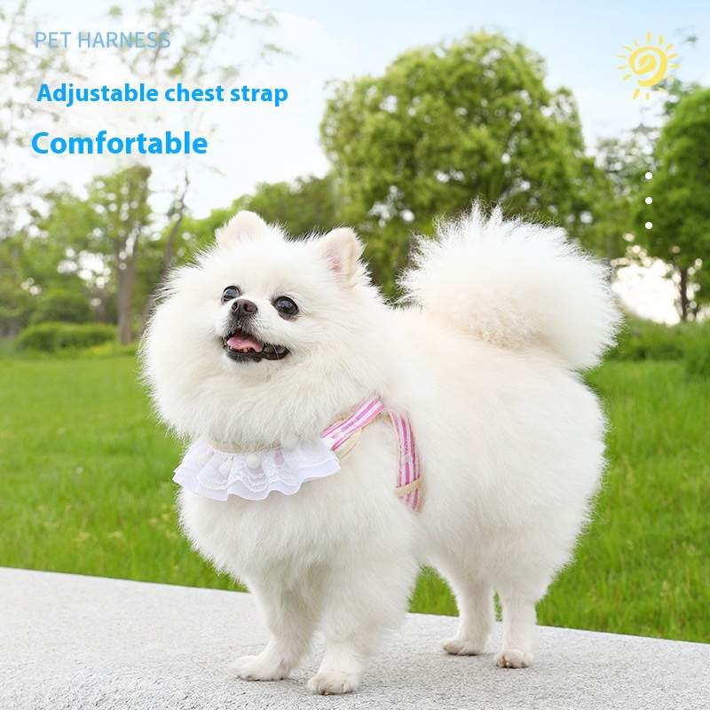 Lace Cat Traction Rope For Dogs And Cats To Escape From The Chest Harness For All Seasons Breathable Pet Supplies