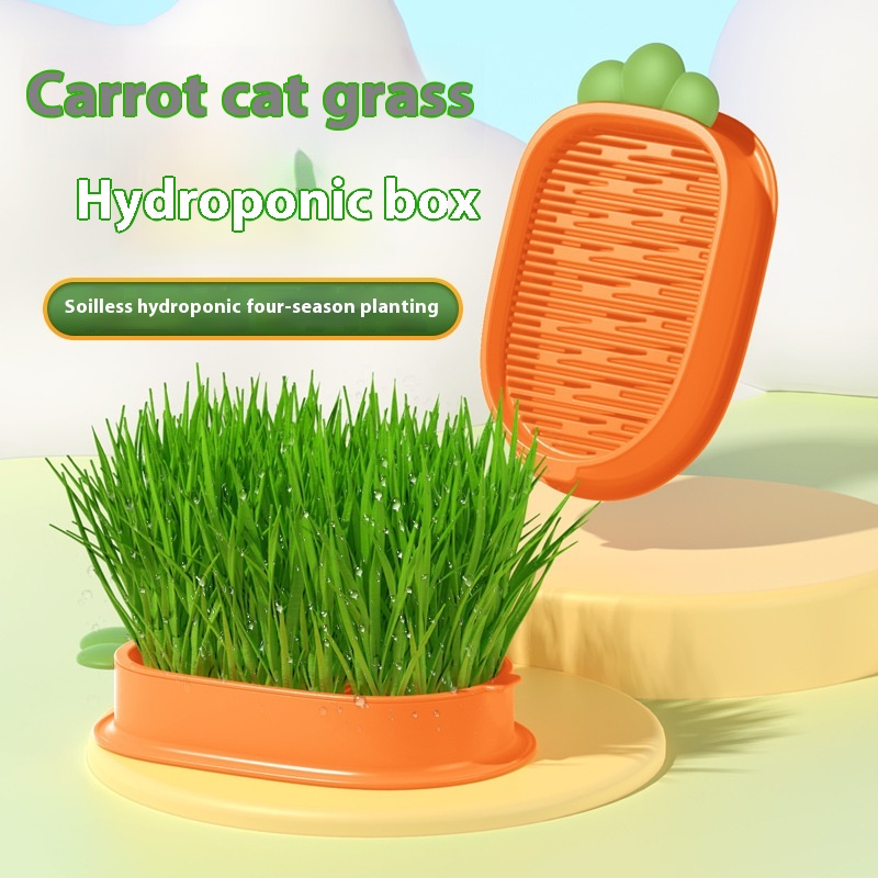 Carrot Cat Grass Potted Hair Grass Wheat Seed Seedling Tray Catnip Snack Soilless Hydroponic Cat Grass Box