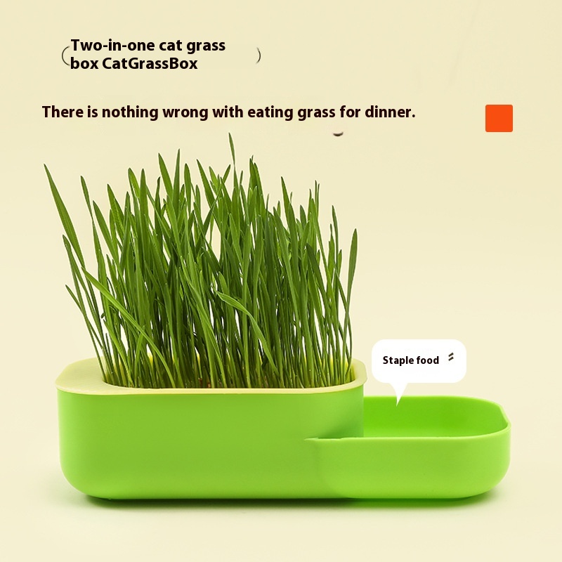 Cat Grass Box Cat Snacks Hydroponic Soilless Planting Cat Grass Pot Set To Help Cats Digest Cat Snacks Cat Grass Box