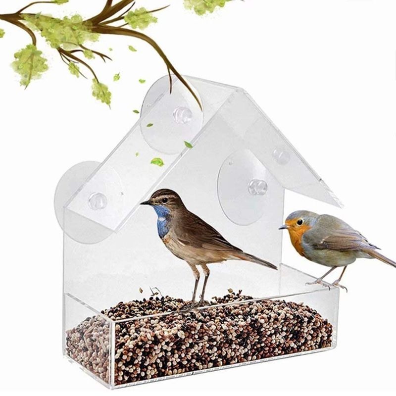 Adsorption House-type Bird Feeder Plexiglass Acrylic Bird Feeder Bird Anti-splash Food Box Food Trough Bowl