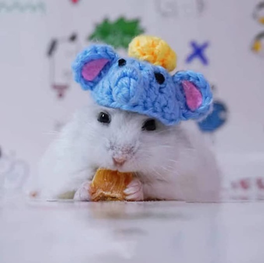 Handmade Mini Pet Hat Elephant Pig Hat Small Animal Clothing Accessories Suitable For Hedgehog Hamster Squirrel Lizard