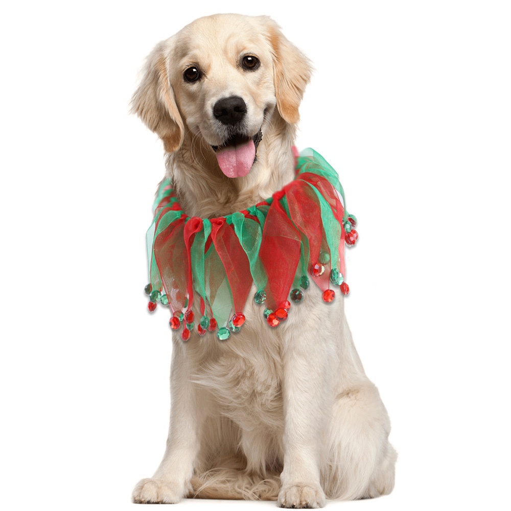 Pet Color Collars For Dogs Christmas And Halloween Color Matching Collars Festive Accessories