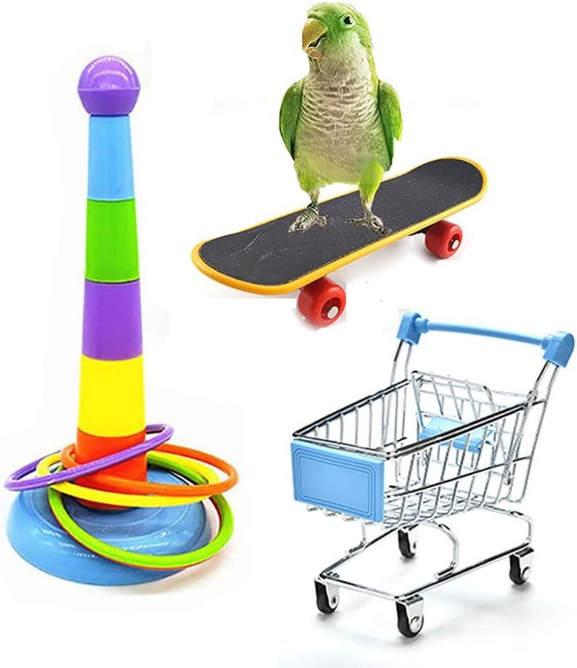 Parrot Toy Set Skateboard Cart Grinding Ball Puzzle Training Bird Toy Supplies3-piece Set