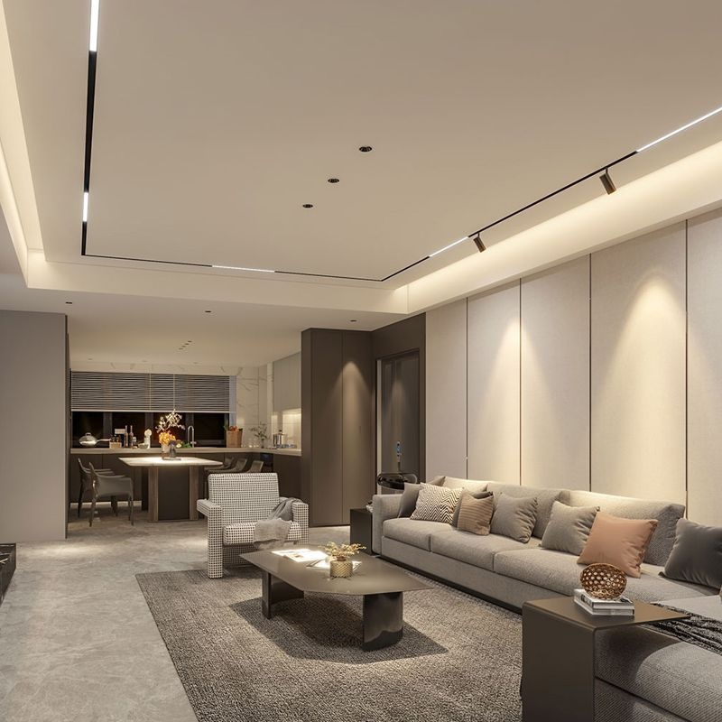 Magnetic Track Light Surface-mounted Ultra-thin5mm Black And White Magnetic Light Led Without Ceiling For Home Living Room Without Main Light Track