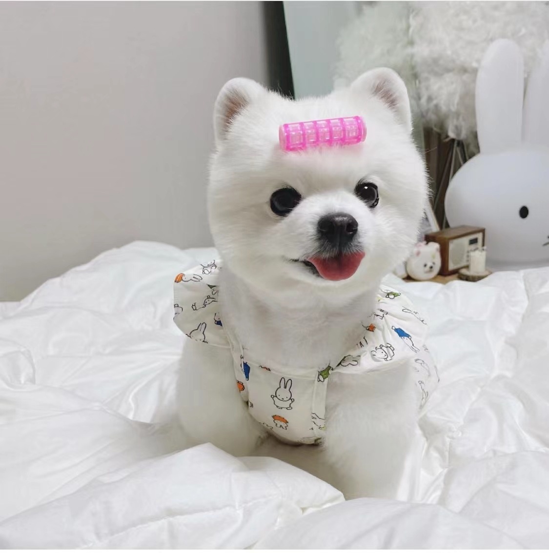 Korean Style Summer Products Pet Dog Cute Cotton Camisole Vest Small Flying Sleeve Pumpkin Skirt