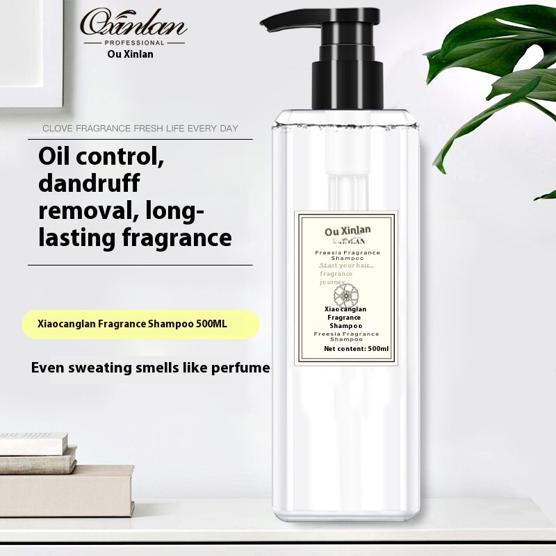 Direct Of Freesia Fragrance Shampoo Shower Gel Conditioner Lasting Fragrance500 MLOil Control Shampoo