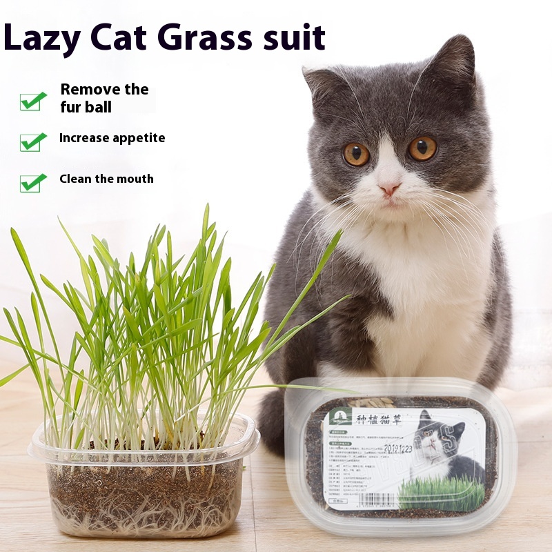 Lazy Cat Grass Set Cat Snacks Nutritious Soil Wheat Seeds Potted Hair Ball Removal Pet Cat Supplies