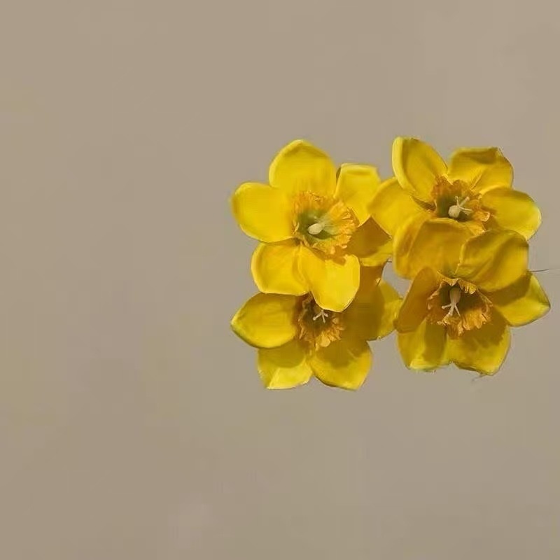 Atmosphere Yellow Twin Daffodils Hairpin Hairpin Vacation Seaside Photo Headwear Elegant Side Clip All-Match