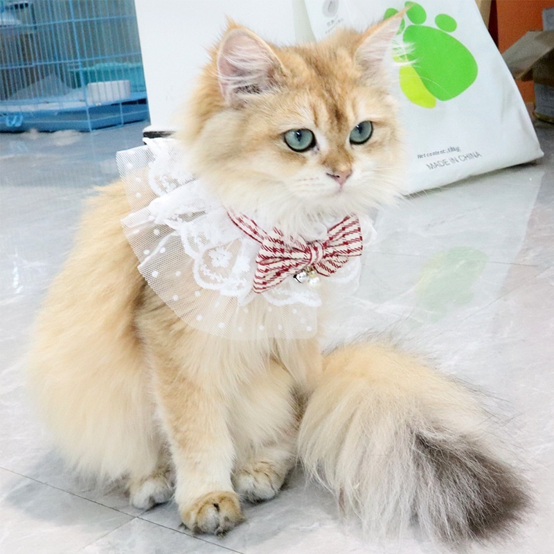 British Cat Bib Plaid Bow Pet Bib Bib For All Seasons Double Layer Mesh Saliva Towel