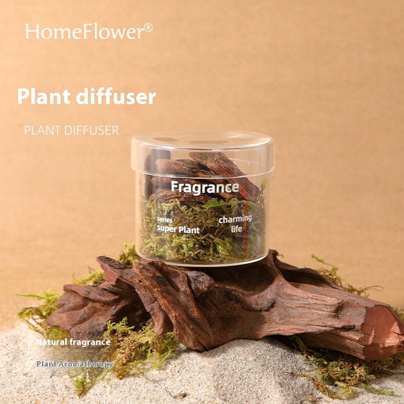 Plant Aromatherapy Essential Oil Fireless Diffuser Diffuser Stone Wooden Fragrance Gift Box Home Interior Decoration Birthday Gift