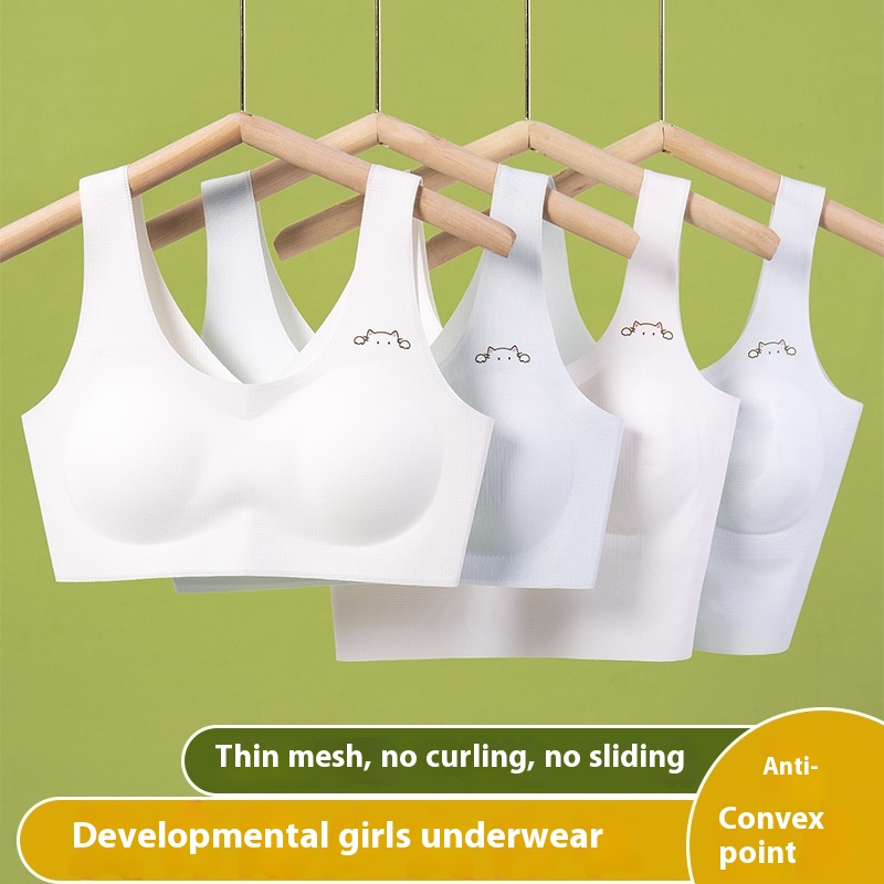 Summer Girl's Seamless Underwear, Thin Mesh Student Bra, Girl's Development Period Primary School Student Vest