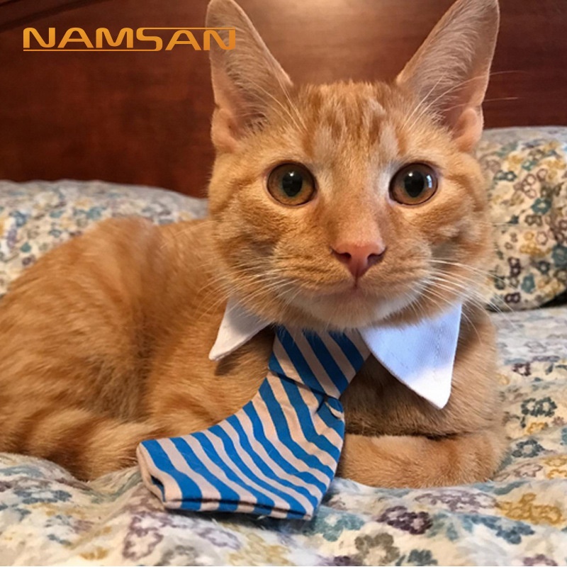 Pet Accessories Bow Tie Dog Tie Summer Cat Accessories Puppy Bow Drop Shipping