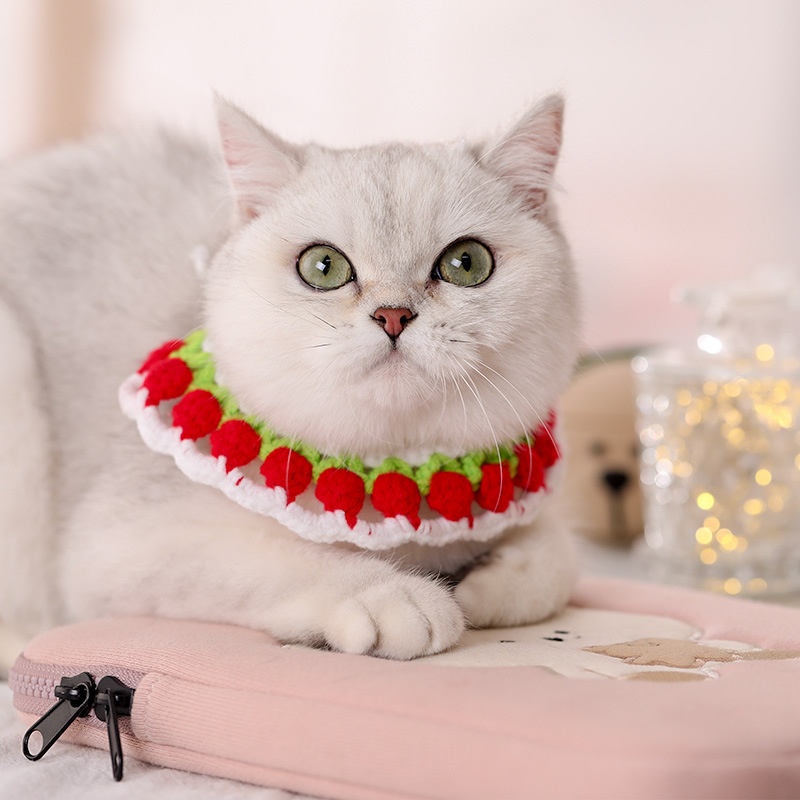 Cat Collar Hand-woven Kitten Collar Neck Necklace