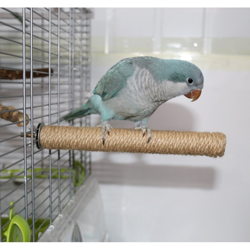 Bird Stand Pole,Stand Stick,Sisal Rope,Solid Wood Bird Cage Accessories,Bird Supplies,Parrot Stand Pole,Stand Stick,Bird Toys