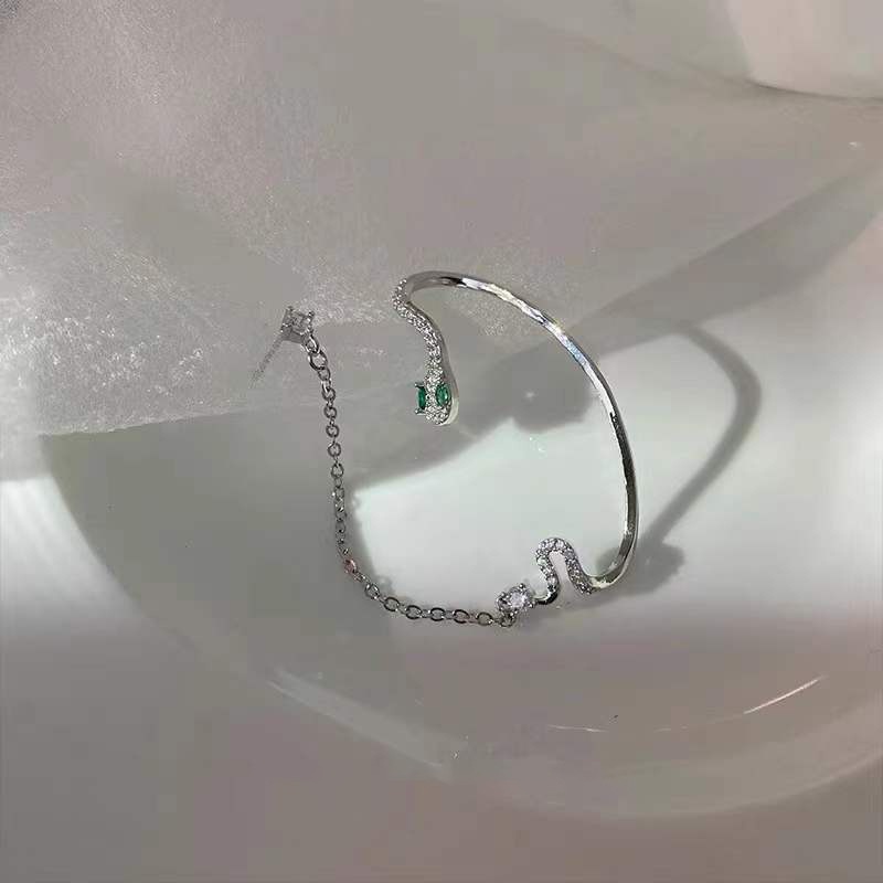 Light Luxury Style Korean Fashion Exaggerated Snake-shaped Silver Needle Earrings Girls Single Ear Hanging Design Foreign Trade