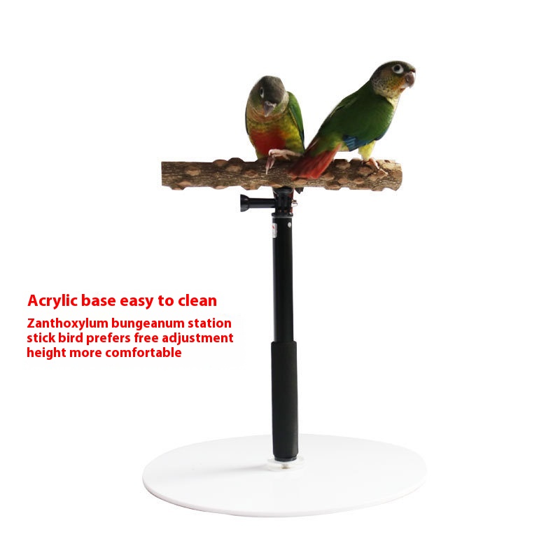 Parrot Supplies Bird Toys Parrot Portable Stand Lifting Stand Outdoor Display Performance Stand