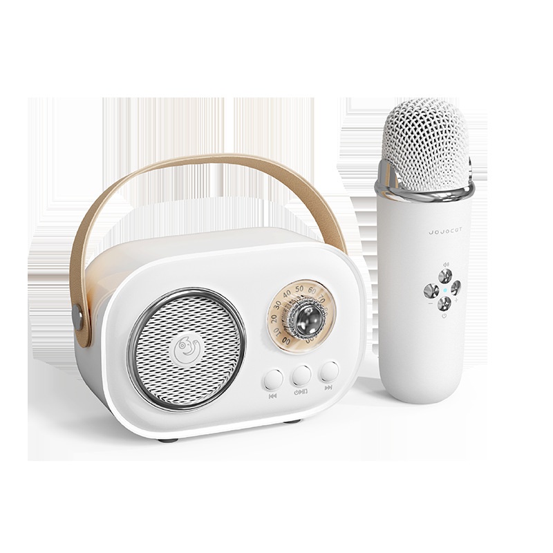 Platinum C20 Bluetooth Speaker Small Home KTVKaraoke Microphone Speaker Integrated Microphone Karaoke Speaker