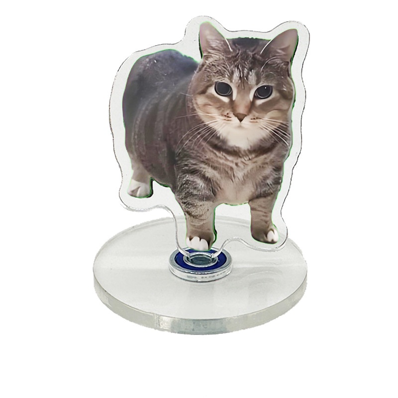 Rotating Meme Cat Oiia Cat 360 Degree Rotatable