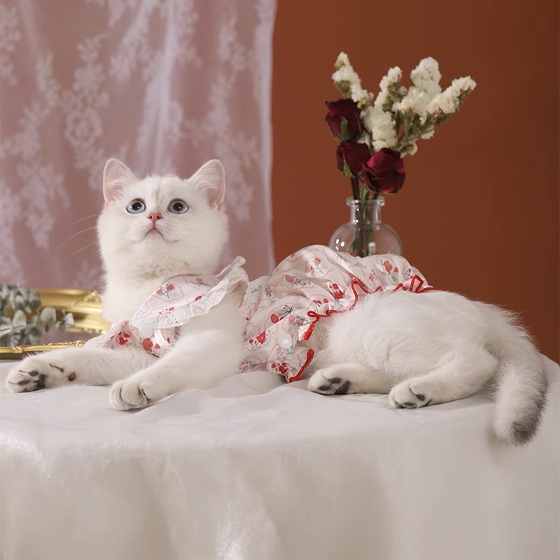 Pet Cat Clothes Summer Breathable Cute Dress Anti-hair Loss Retro Cat Skirt Puppet Summer Thin