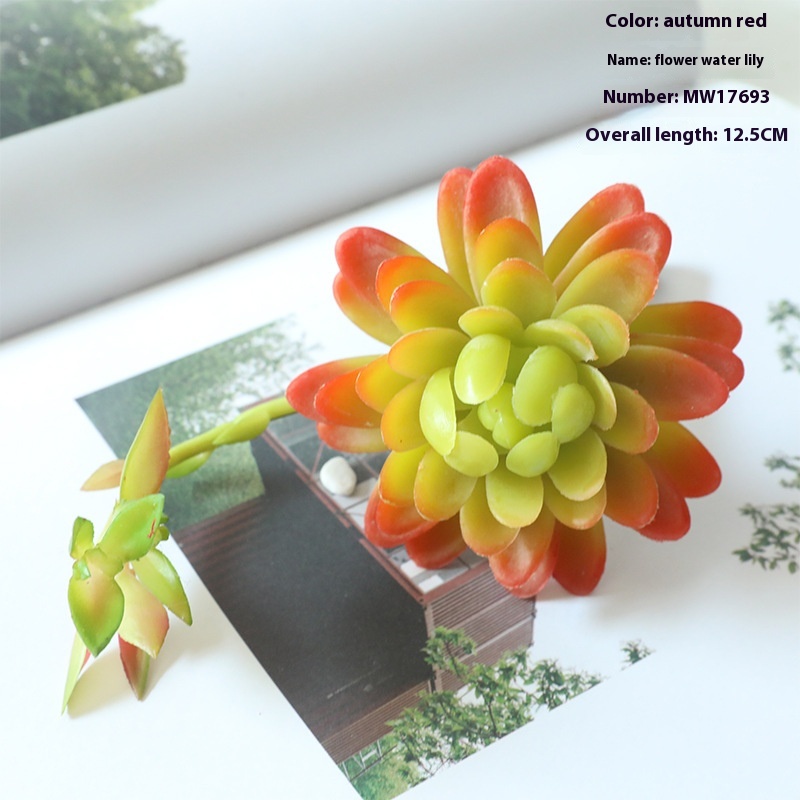 Simulation Flower Water Lily Succulent Plant With Flower Home Decoration Wedding Flower Wall Plant Wall Artificial Flower MW17693