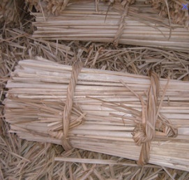 Ready-to-use Raw Materials For Plants:Cattail Roots,Cattail Seedlings,Harvested Cattail Leaves,Cattail Grass