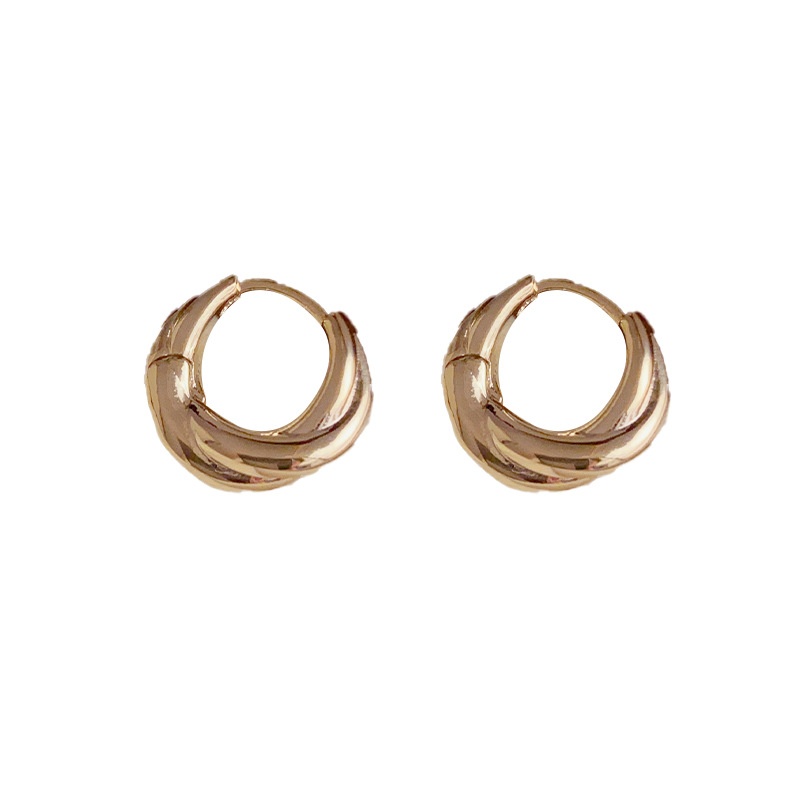 French Simple Niche Design Fashion Metal Earrings Female Retro Cold Style High-end Versatile Earrings