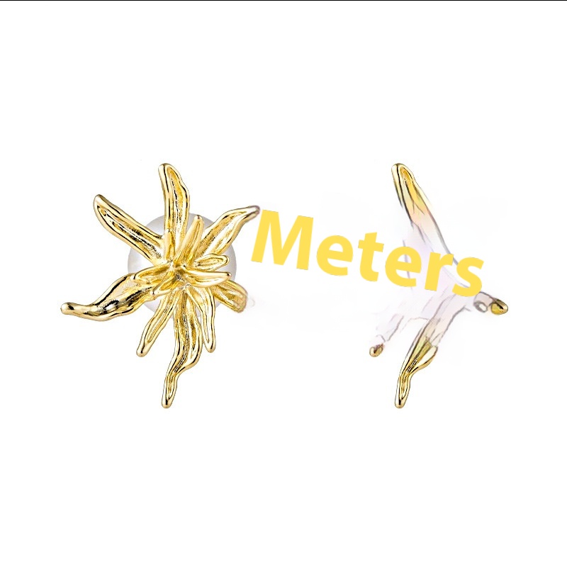 Silver Needle Golden Fireworks Front And Back Pearl Earrings Temperament Creative Earrings Jewelry