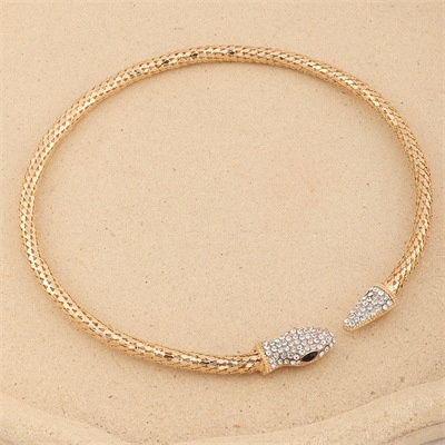 NZ2494 European And American Snake-shaped Collarbone Chain Adjustable Creative Snake Tail Connected Female Necklace Jewelry
