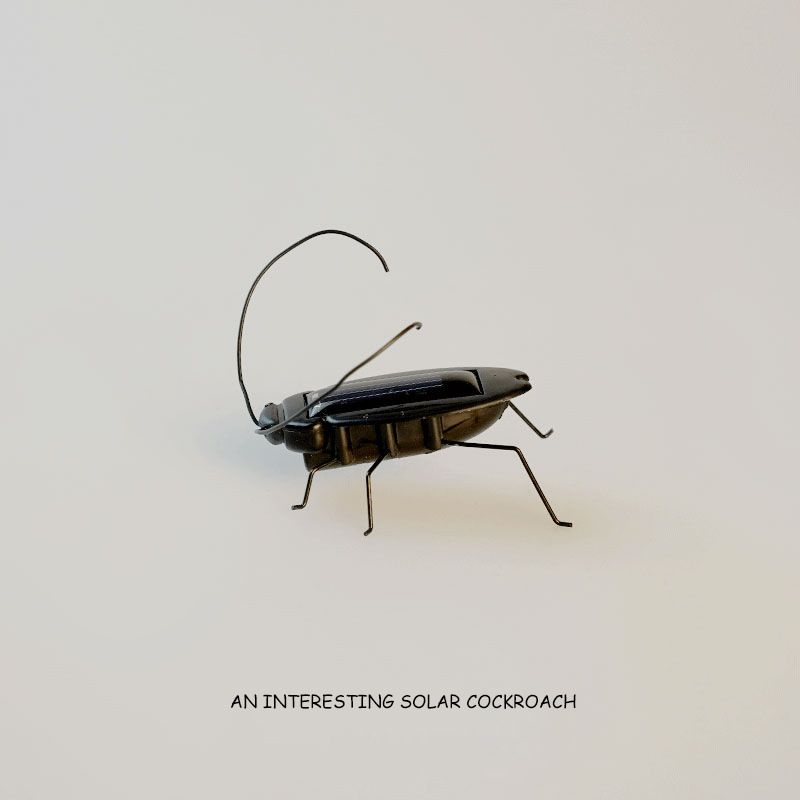 Solar-Powered Cockroach–Novelty And Creative Mini Toy